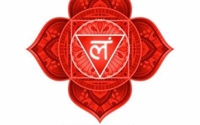 La communication animale et le chakra racine