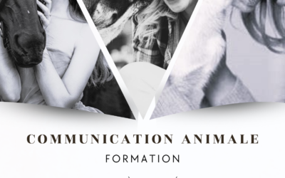 Formation le samedi 16 novembre 2024