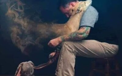 Accompagner Nos Animaux vers la Fin de Vie : Une Communication Essentielle