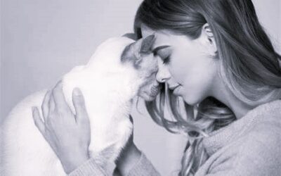 Les Animaux, Nos Guides Spirituels : Leçons de Vie et Croissance Personnelle