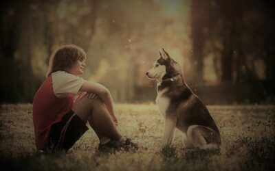 La Magie de la Communication Intuitive avec les Animaux : Renforcez votre Lien avec vos Compagnons