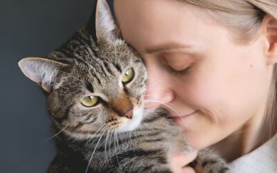 Vœux Magiques pour 2025 avec Aminall !