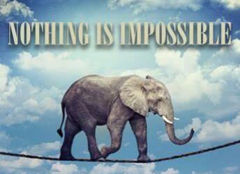 Les détracteurs de la Communication Animale