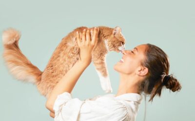 À Quoi Sert la Communication Animale ? Créez une Vie Harmonieuse avec Votre Compagnon