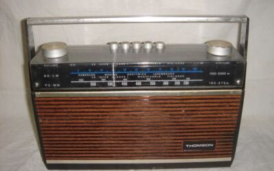 La Magie de la Communication Animale : Un Dialogue d&rsquo;Âme à Âme